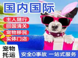 惠州平潭机场空运国际宠物托运 【国
